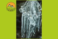 Baza Czupel - Zdjęcia 2025 (tło-green) - 29