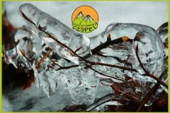 Baza Czupel - Zdjęcia 2025 (tło-green) - 30