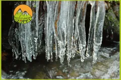 Baza Czupel - Zdjęcia 2025 (tło-green) - 31