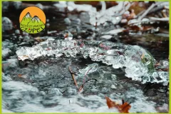 Baza Czupel - Zdjęcia 2025 (tło-green) - 32