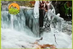 Baza Czupel - Zdjęcia 2025 (tło-green) - 33