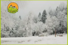 Baza Czupel - Zdjęcia 2025 (tło-green) - 34