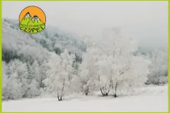 Baza Czupel - Zdjęcia 2025 (tło-green) - 35