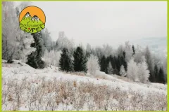 Baza Czupel - Zdjęcia 2025 (tło-green) - 37