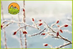 Baza Czupel - Zdjęcia 2025 (tło-green) - 38