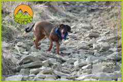 Baza Czupel - Zdjęcia 2025 (tło-green) - 42