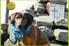 Baza Czupel - Zdjęcia 2025 (tło-green) - 43