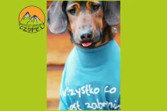 Baza Czupel - Zdjęcia 2025 (tło-green) - 46